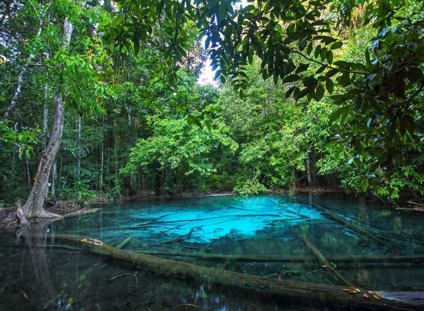 Krabi Emerald Pool , Hot Spring and Tiger Cave Temple Tour