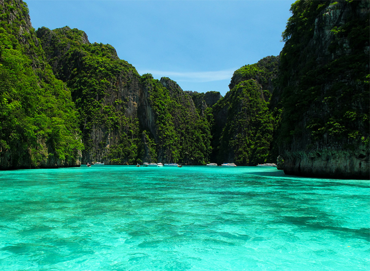 Phi Phi Tour - Hotels Booking - Tours - Transfer Services